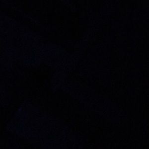 Meet your Posher, Coco